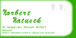 norbert matusek business card